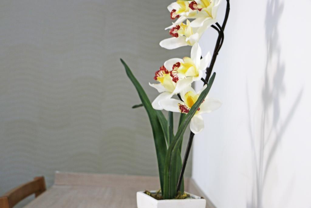 Pousada Shangrila Ribeirão Preto Δωμάτιο φωτογραφία